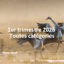 fotoduelo 1er trimestre 2026 - Toutes catégories