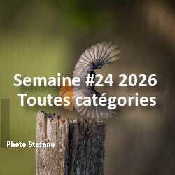 fotoduelo Semaine #24 2026 - Toutes catégories