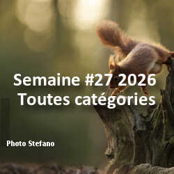 fotoduelo Semaine #27 2026 - Toutes catégories