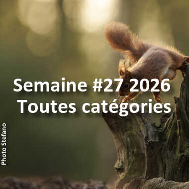 fotoduelo Semaine #27 2026 - Toutes catégories