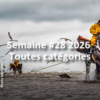 fotoduelo Semaine #28 2026 - Toutes catégories