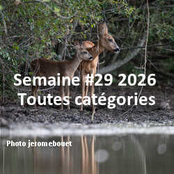 fotoduelo Semaine #29 2026 - Toutes catégories