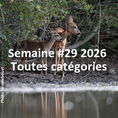 fotoduelo Semaine #29 2026 - Toutes catégories