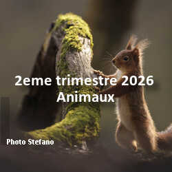 fotoduelo 2eme trimestre 2026 - Animaux