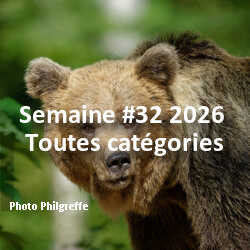 fotoduelo Semaine #32 2026 - Toutes catégories
