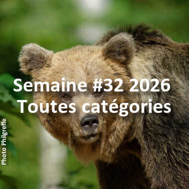 fotoduelo Semaine #32 2026 - Toutes catégories