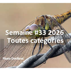 fotoduelo Semaine #33 2026 - Toutes catégories