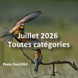 fotoduelo Juillet 2026 - Toutes catégories