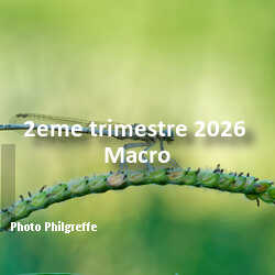 fotoduelo 2eme trimestre 2026 - Macro