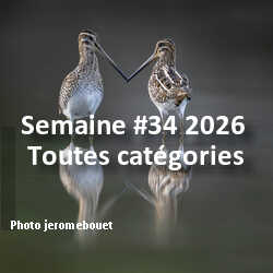 fotoduelo Semaine #34 2026 - Toutes catégories