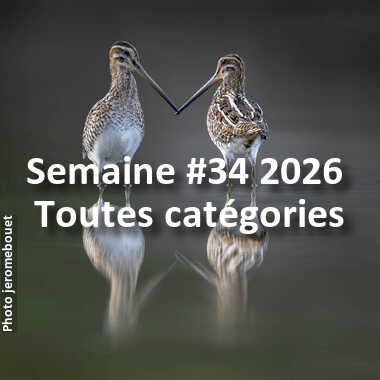 fotoduelo Semaine #34 2026 - Toutes catégories
