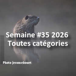 fotoduelo Semaine #35 2026 - Toutes catégories