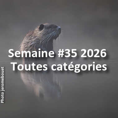 fotoduelo Semaine #35 2026 - Toutes catégories