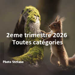 fotoduelo 2eme trimestre 2026 - Toutes catégories