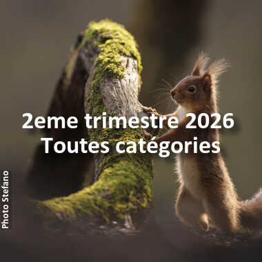 fotoduelo 2eme trimestre 2026 - Toutes catégories