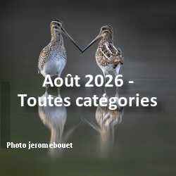 fotoduelo Août 2026 - Toutes catégories