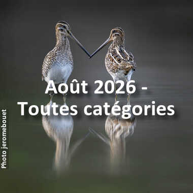 fotoduelo Août 2026 - Toutes catégories