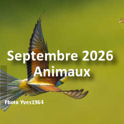 fotoduelo Septembre 2026 - Animaux