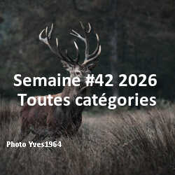fotoduelo Semaine #42 2026 - Toutes catégories