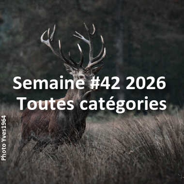 fotoduelo Semaine #42 2026 - Toutes catégories