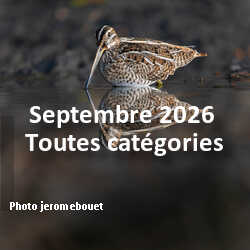 fotoduelo Septembre 2026 - Toutes catégories