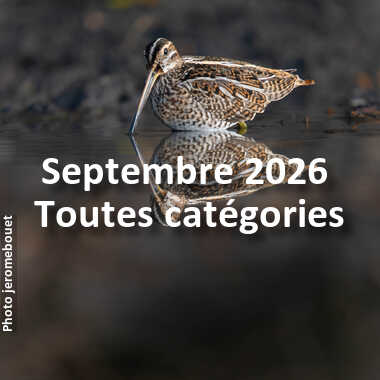 fotoduelo Septembre 2026 - Toutes catégories