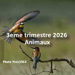 fotoduelo 3eme trimestre 2026 - Animaux