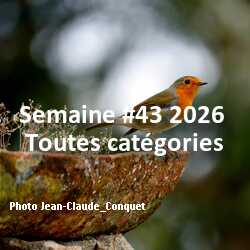 fotoduelo Semaine #43 2026 - Toutes catégories