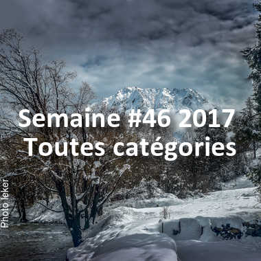 fotoduelo Semaine #46 2017 - Toutes catégories