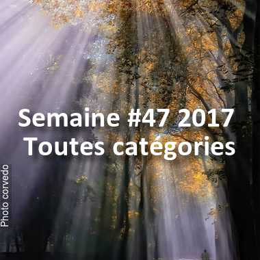fotoduelo Semaine #47 2017 - Toutes catégories