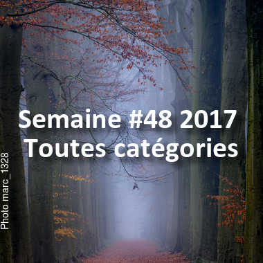 fotoduelo Semaine #48 2017 - Toutes catégories