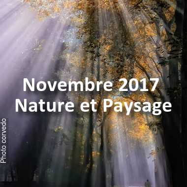 fotoduelo Novembre 2017 - Nature et Paysage