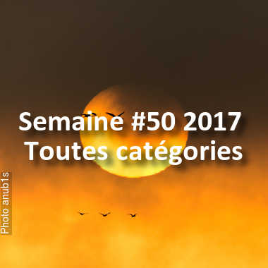 fotoduelo Semaine #50 2017 - Toutes catégories