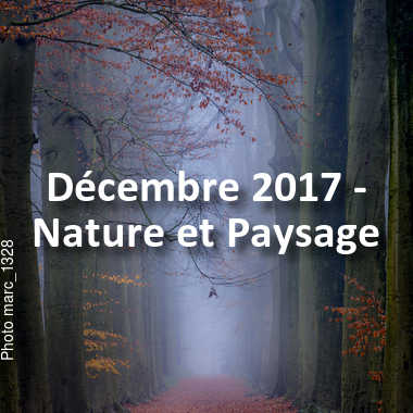 fotoduelo Décembre 2017 - Nature et Paysage