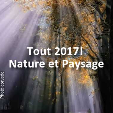 fotoduelo Tout 2017! - Nature et Paysage