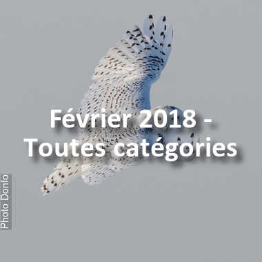 fotoduelo Février 2018 - Toutes catégories