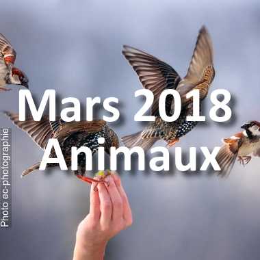 fotoduelo Mars 2018 - Animaux