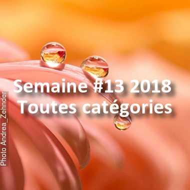 fotoduelo Semaine #13 2018 - Toutes catégories