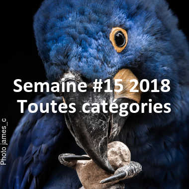 fotoduelo Semaine #15 2018 - Toutes catégories