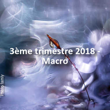 fotoduelo 3ème trimestre 2018 - Macro