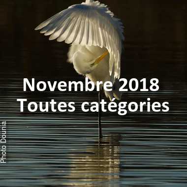 fotoduelo Novembre 2018 - Toutes catégories
