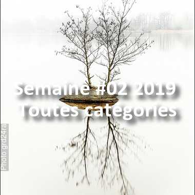 fotoduelo Semaine #02 2019 - Toutes catégories