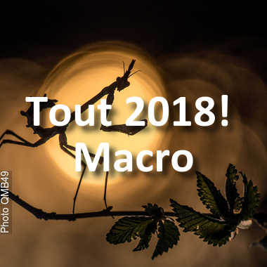fotoduelo Tout 2018! - Macro