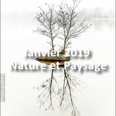 fotoduelo Janvier 2019 - Nature et Paysage