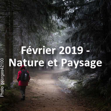 fotoduelo Février 2019 - Nature et Paysage