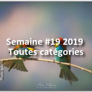 fotoduelo Semaine #19 2019 - Toutes catégories