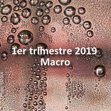 fotoduelo 1er trimestre 2019 - Macro