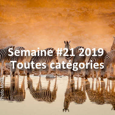 fotoduelo Semaine #21 2019 - Toutes catégories