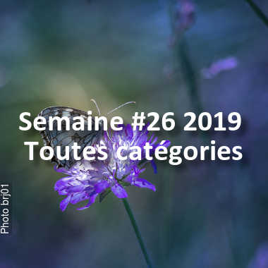 fotoduelo Semaine #26 2019 - Toutes catégories