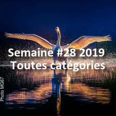 fotoduelo Semaine #28 2019 - Toutes catégories